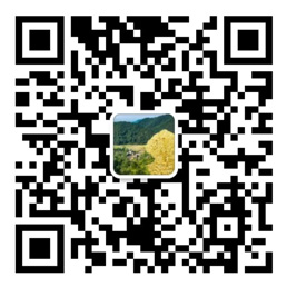 快盈购彩大厅app下载官网
